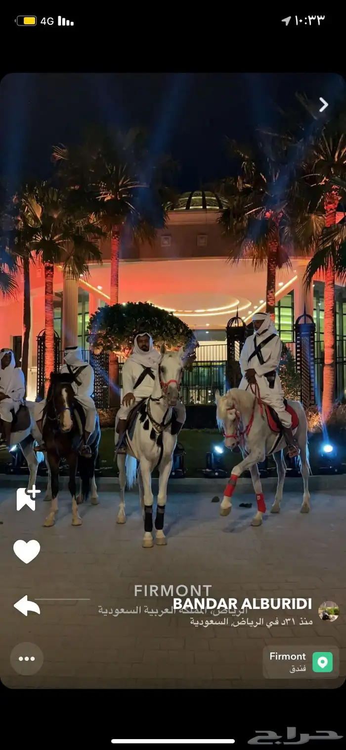 خيول وجمال للايجار 4
