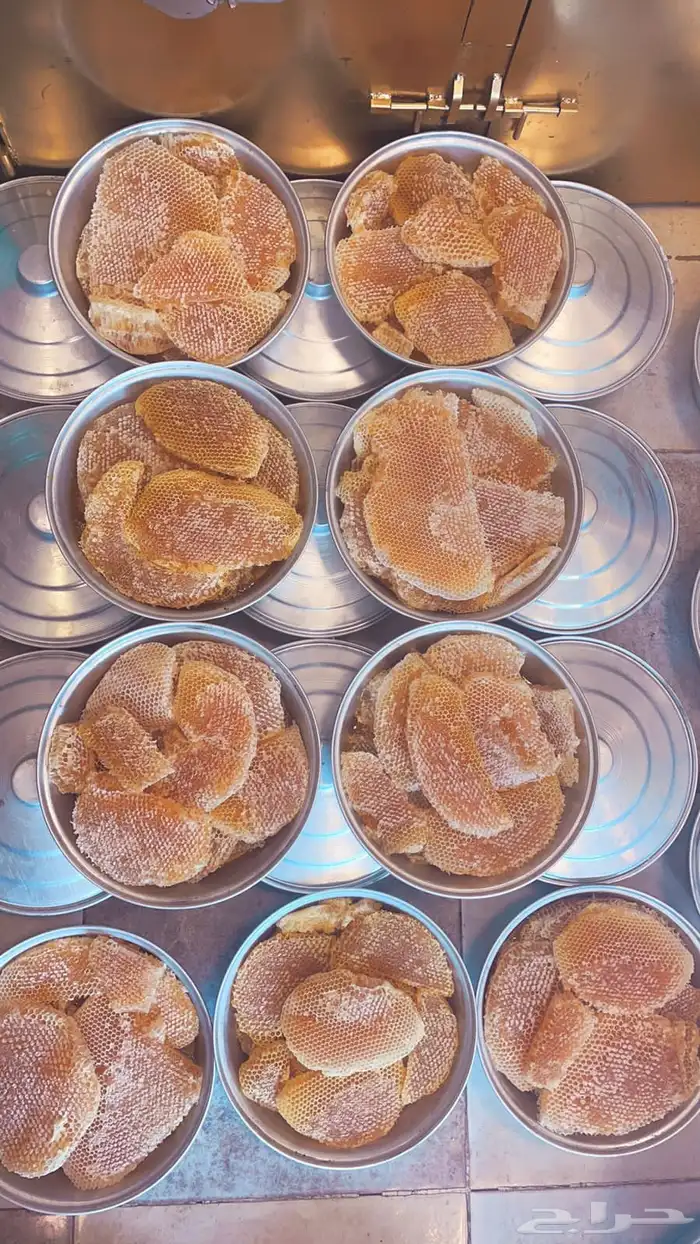 عسل من منحلي سمر وطلح وسدر وغذاء الملكات وحبوب اللقاح 5