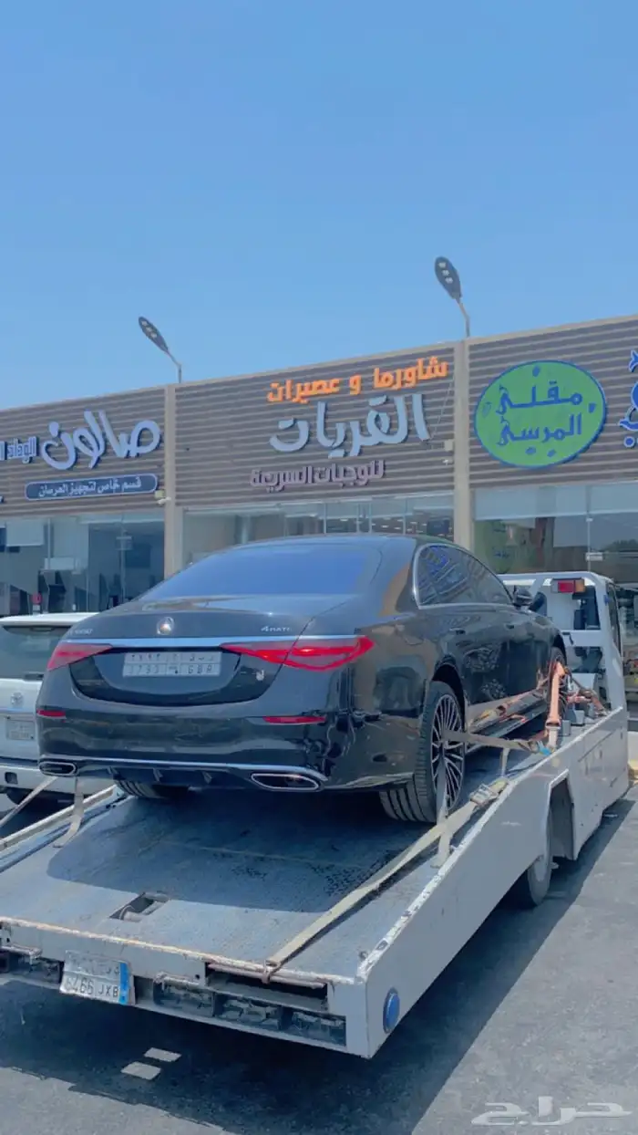 سطحه القرشيات عشيره العطيف الهجن 12
