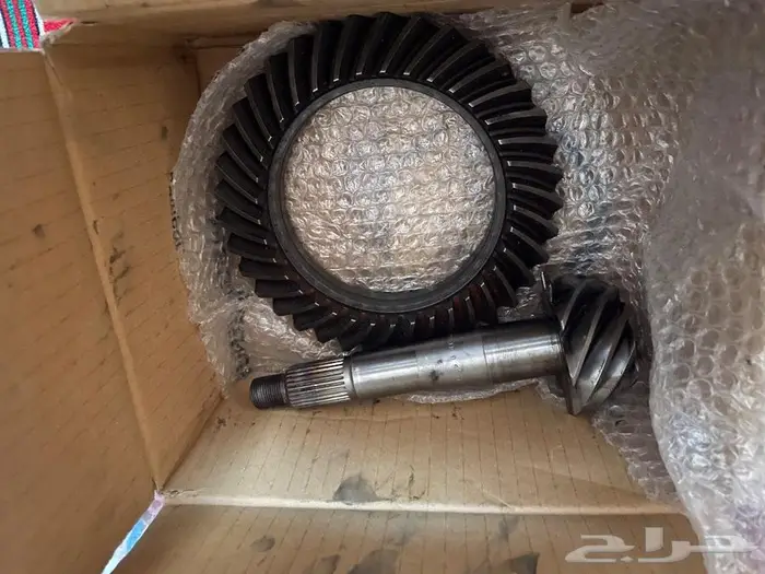 كارونة ددسن مد وكاله ب الكرتون 1