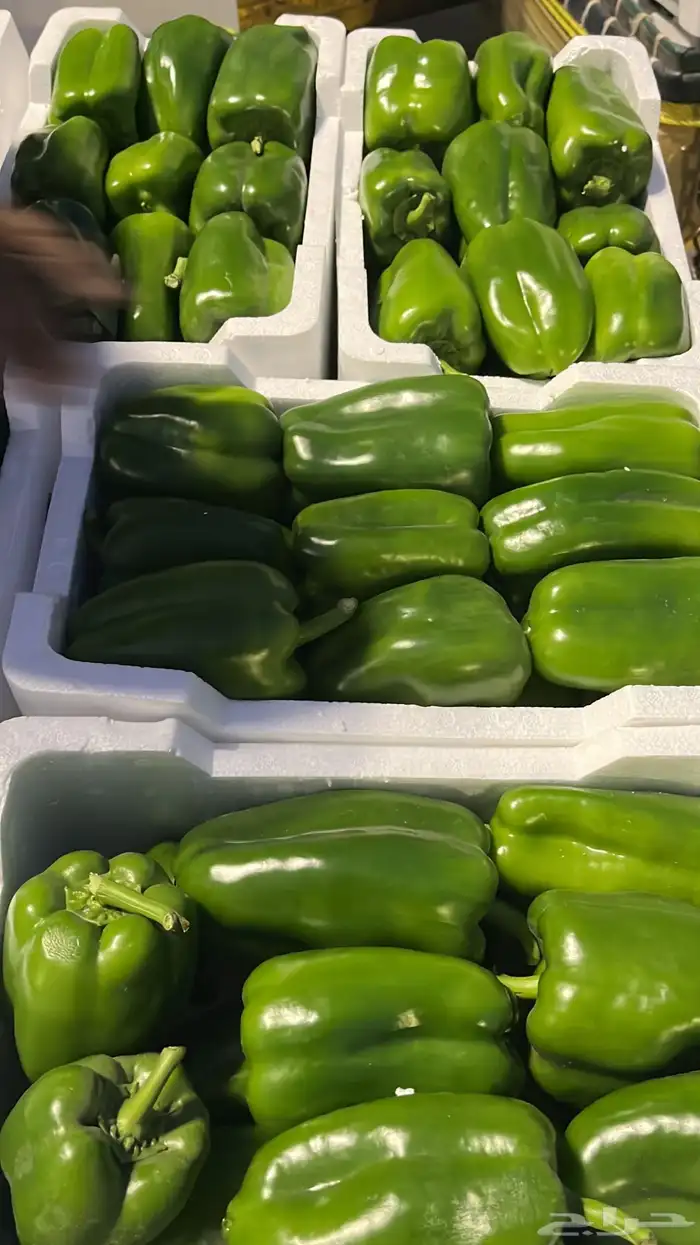 توريد خضار القصيم الطازجة 23