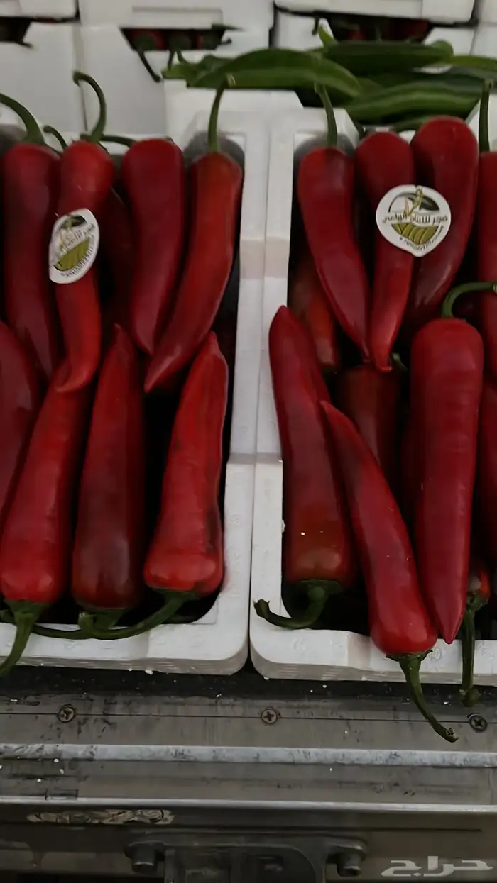 توريد خضار القصيم الطازجة 24