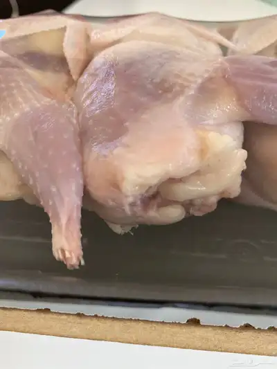 ( سمان طازج   سمان بياض   صوص سمان  بيض سمان) 2