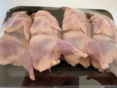 ( سمان طازج   سمان بياض   صوص سمان  بيض سمان) 4