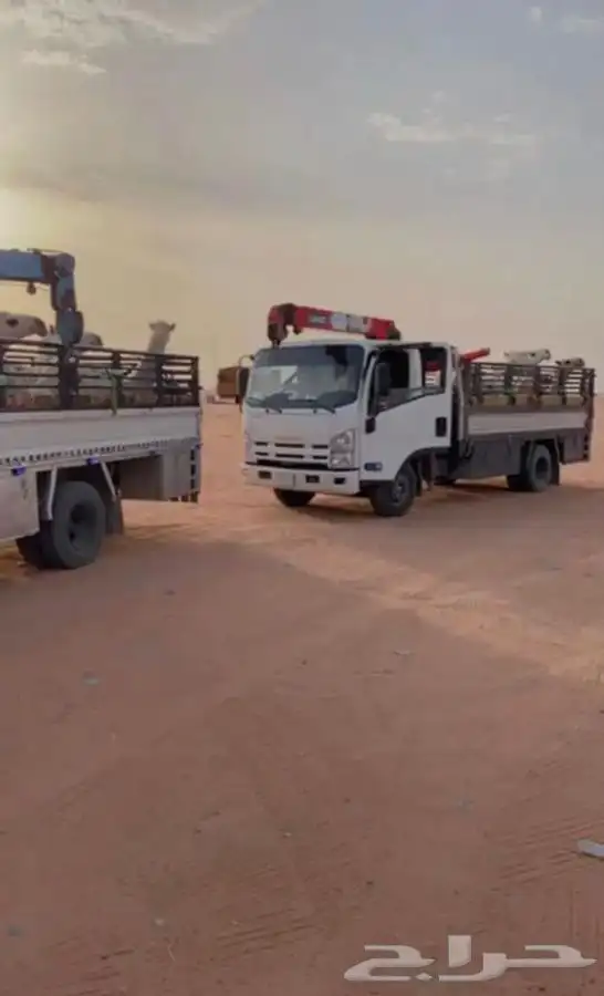 دينا صندوق كرين لنقل الابل والحلال والمكايين 0