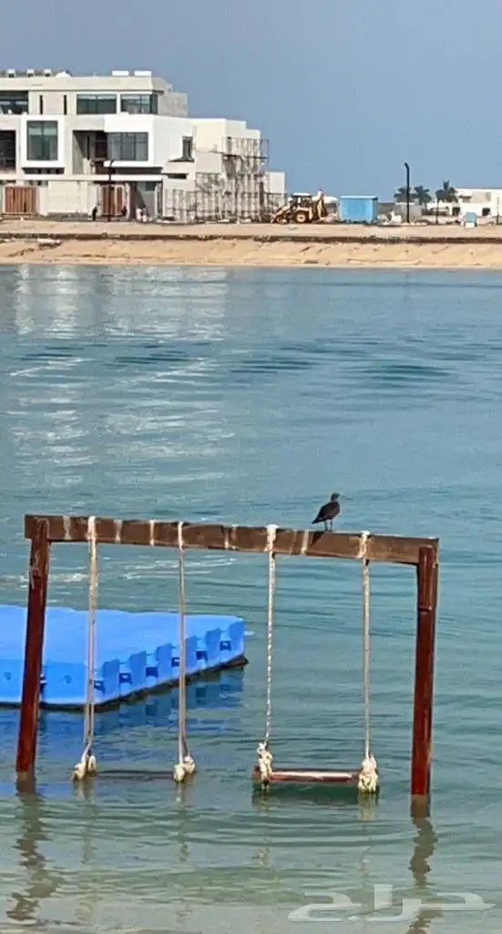 درة العروس وجهتك المختاره 1