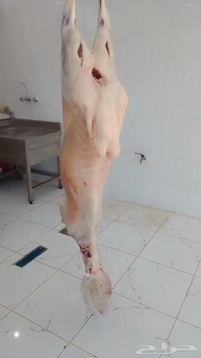 ملحمة ذبائح الحجاز - مخطط البدراني 6