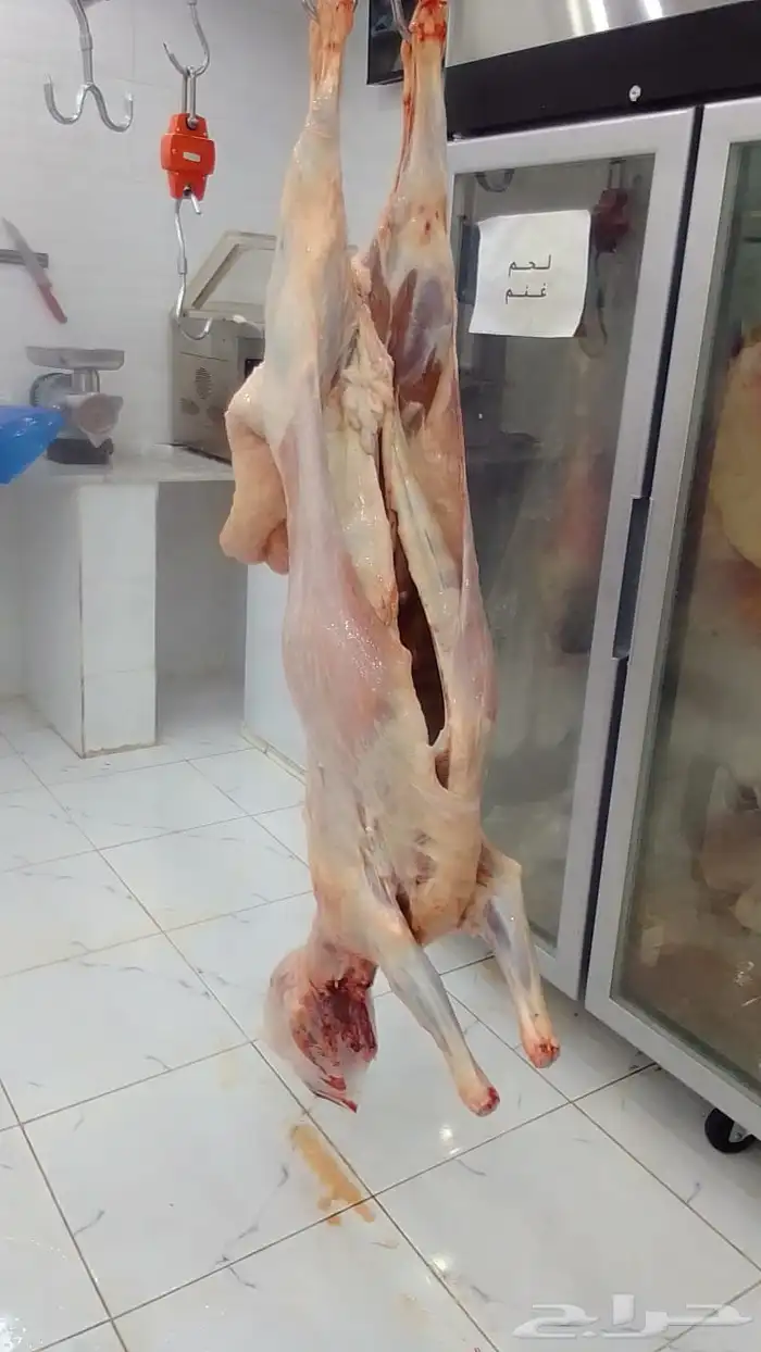 ملحمة ذبائح الحجاز - مخطط البدراني 8