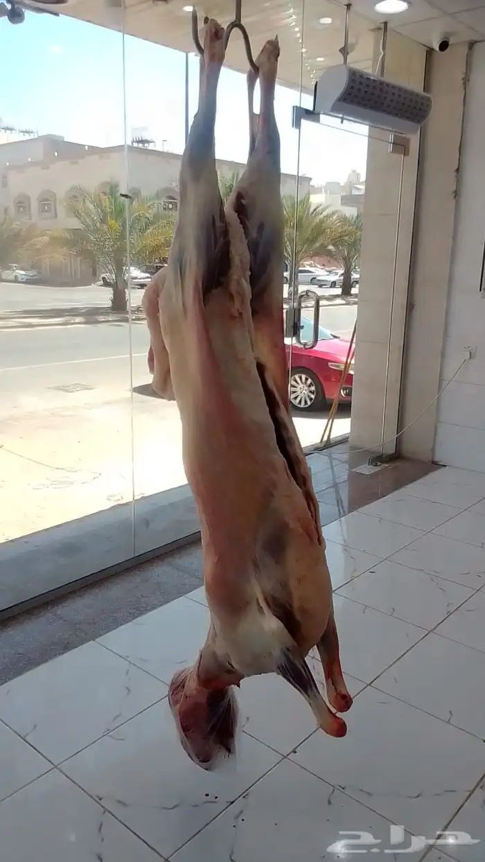 ملحمة ذبائح الحجاز - مخطط البدراني 7