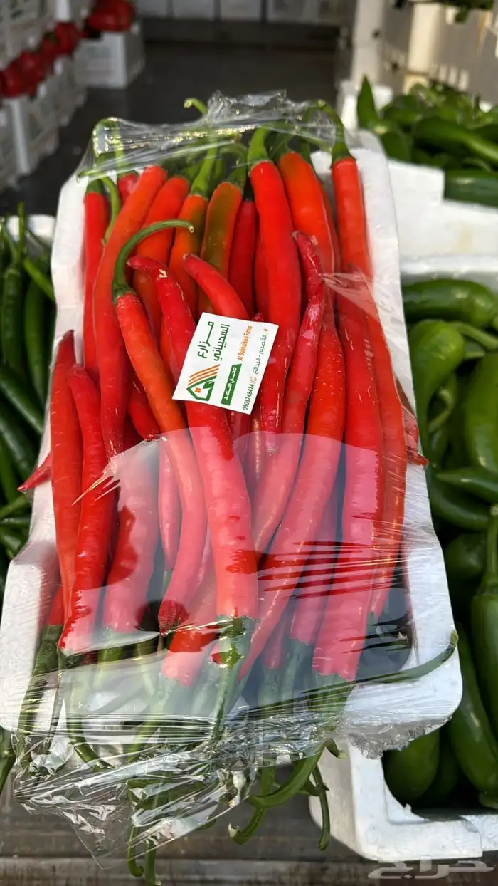 توريد خضار القصيم الطازجة 22