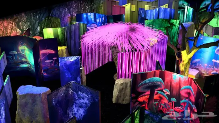 علب جلدية دروع شهادات تعليقات تقاويم تيشرتات طباعة فولدر 10