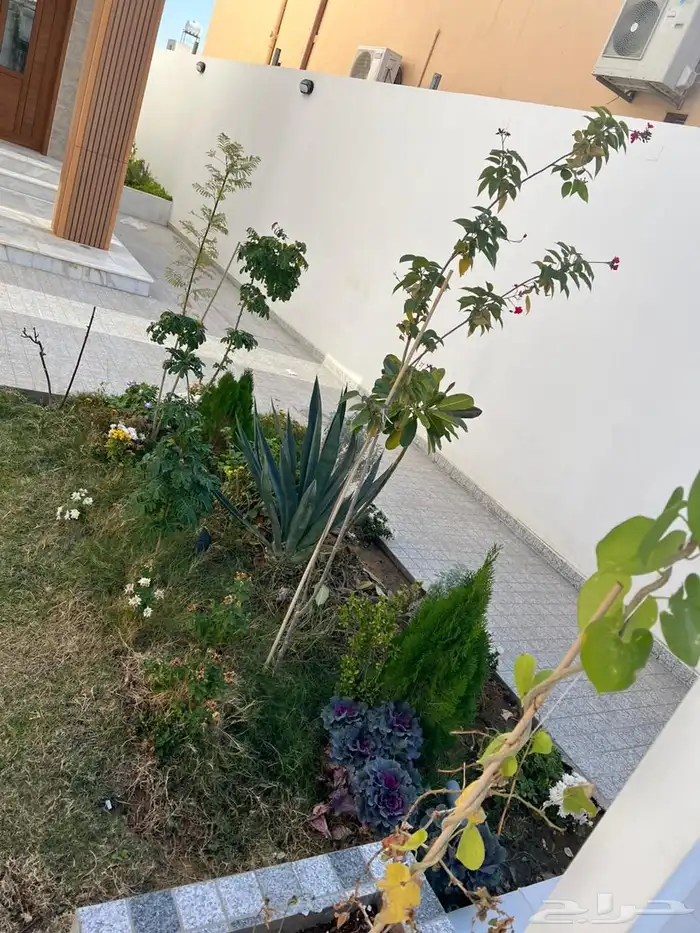 تنسيق حدائق منزليه 33