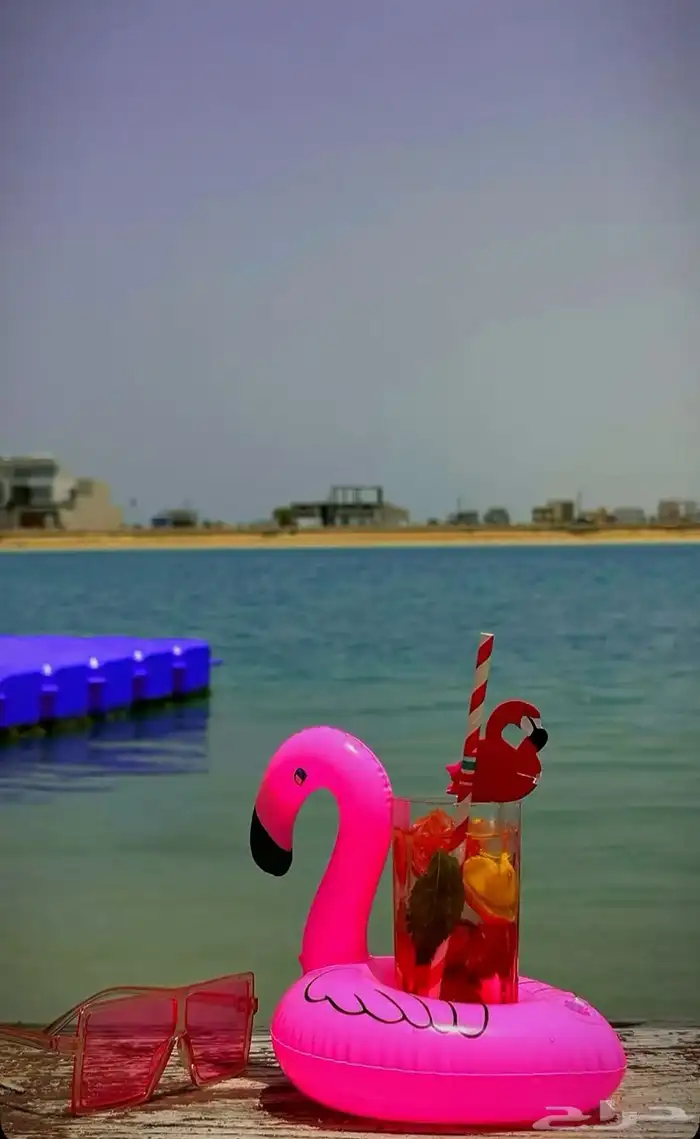 درة العروس وجهتك المختاره 16