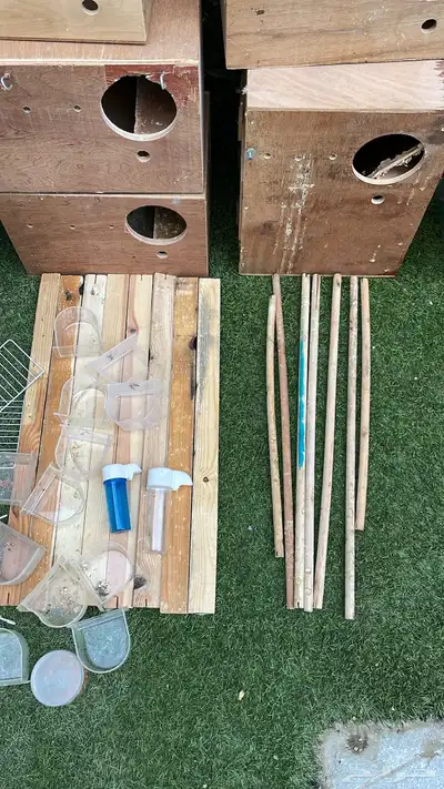مستلزمات طيور ( ببغاء ) 1