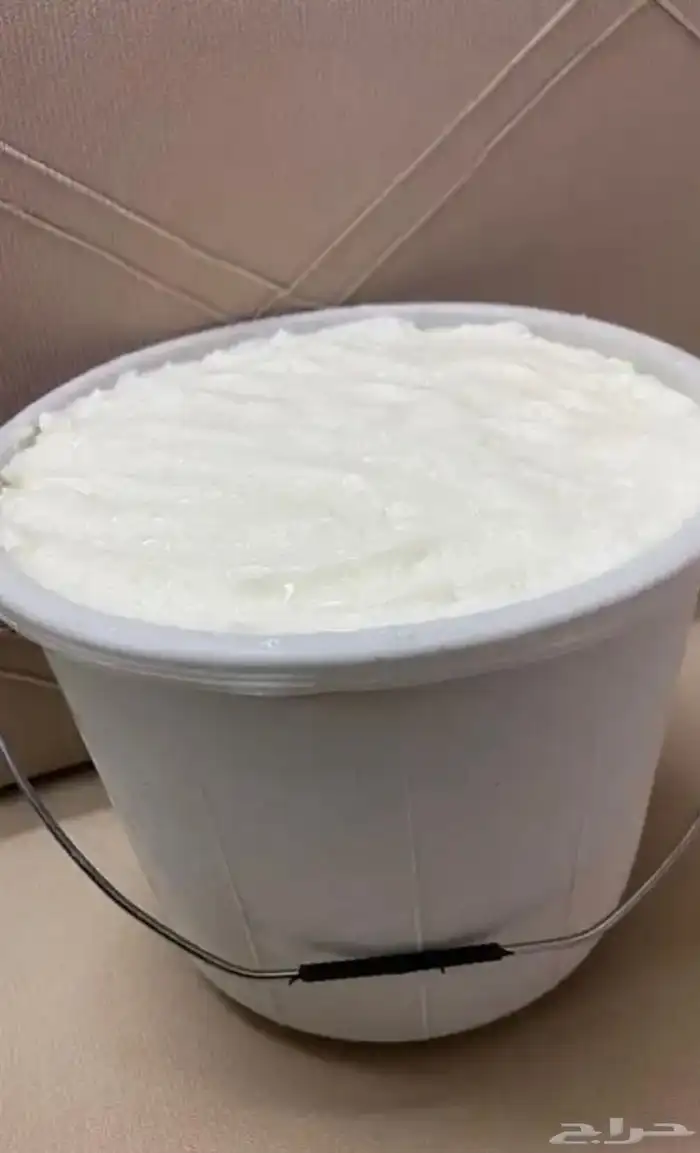 زبده غنم شرط شغل الوالده 1