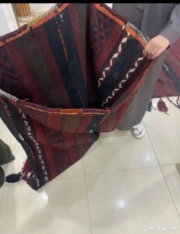 معانق للابل 1