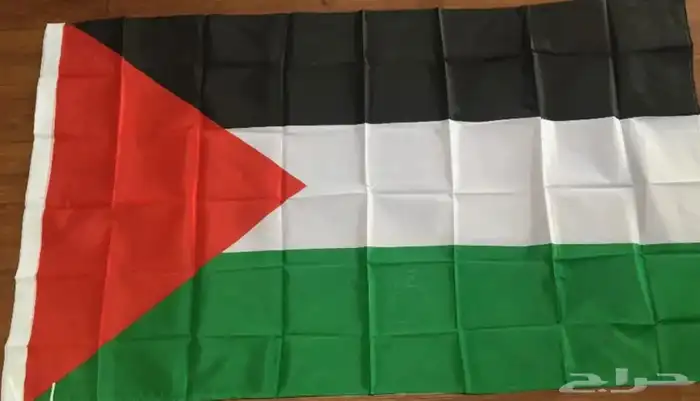 أعلام الدول العربية والأجنبية مصر فرنسا المغرب الكويت وغيرها 8