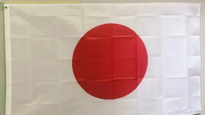 أعلام الدول العربية والأجنبية مصر فرنسا المغرب الكويت وغيرها 15