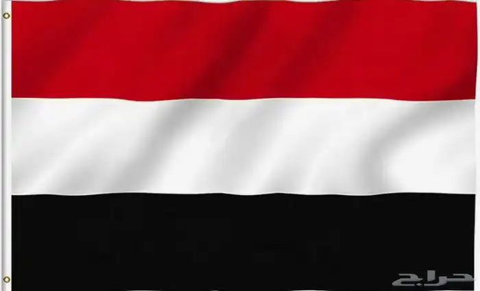 أعلام الدول العربية والأجنبية مصر فرنسا المغرب الكويت وغيرها 13