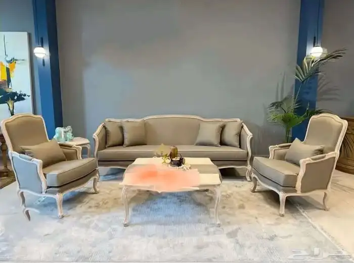 تجهيز مراكز ضيافه صالونات مطاعم كوفي شقق الخ.. 49