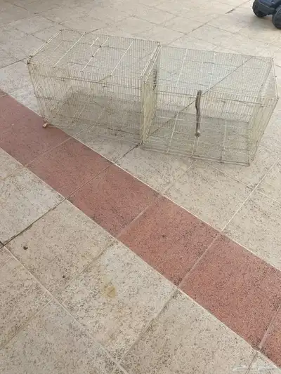 شبك 601 0