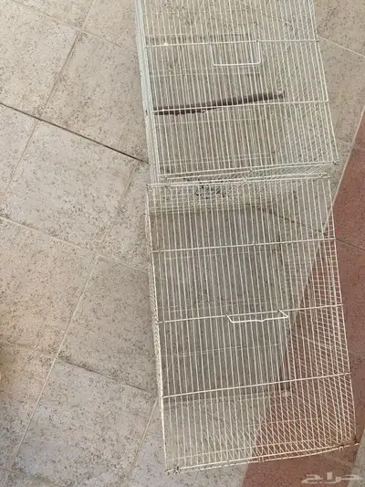 شبك 601 1