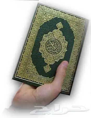 تعليم القران والتجويد والمقامات والقاعدة النورانية 0