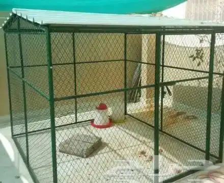 شبك بقلاوه جاهز للبيع 15