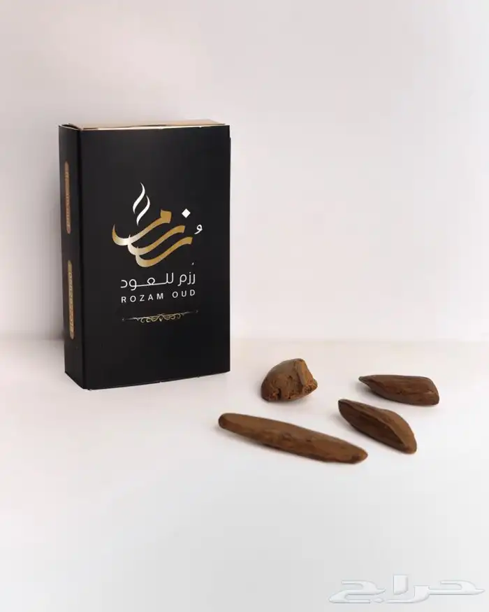 تصميم لوقو 4