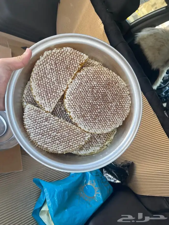 عسل سدر عصيمي يمني 2