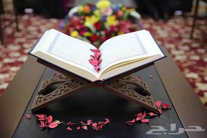 تعليم القران والتجويد والمقامات والقاعدة النورانية 2