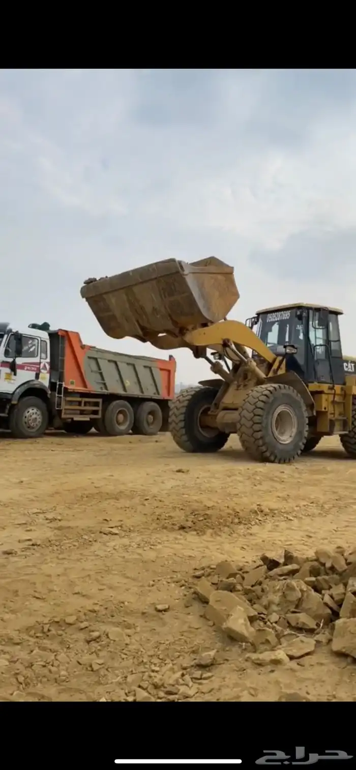 شيول للبيع 3