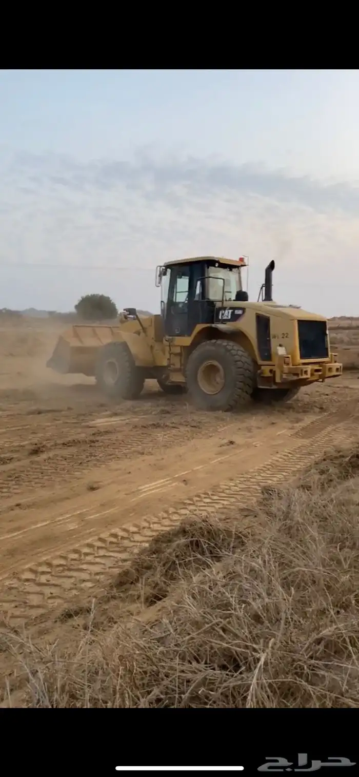 شيول للبيع 2