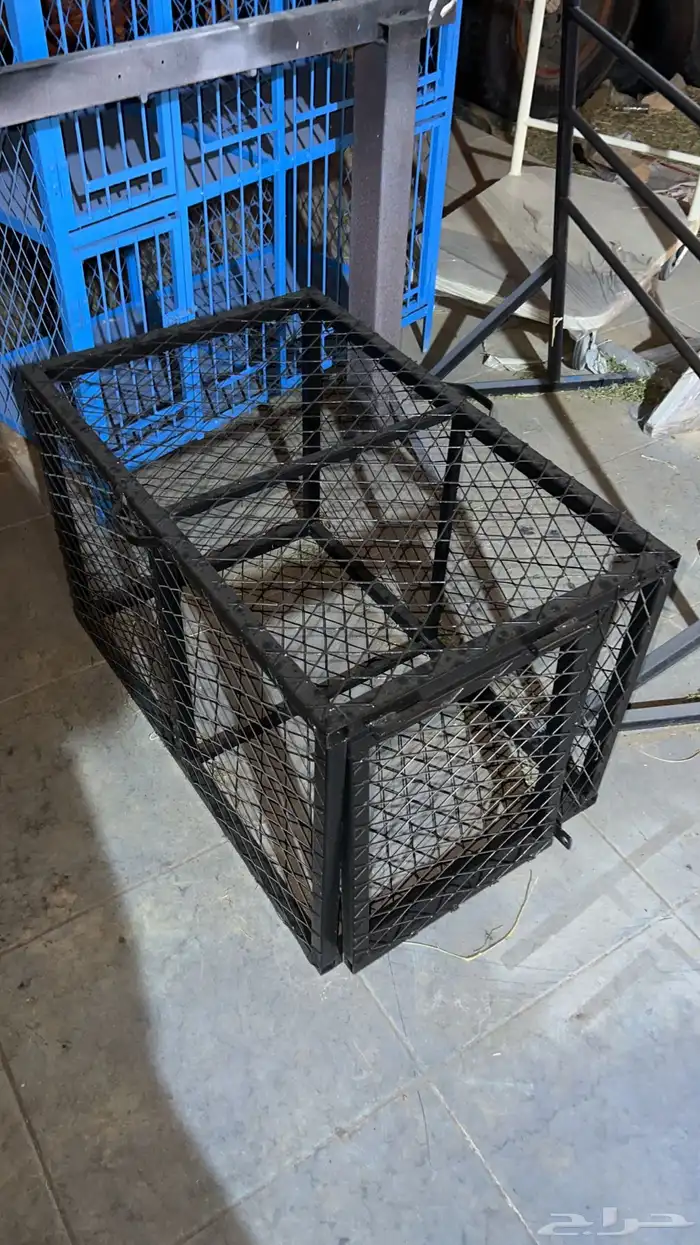 تفصيل جميع انواع الحداده الموقع سكاكا الجوف 10