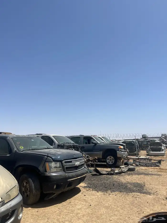 تشليح البحيصي 8