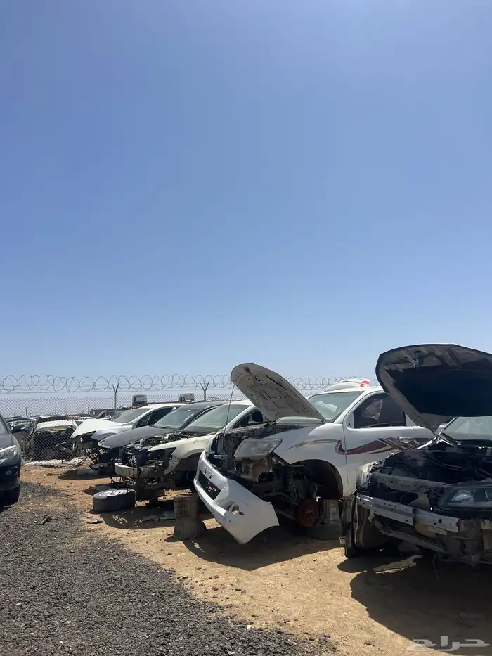 تشليح البحيصي 3