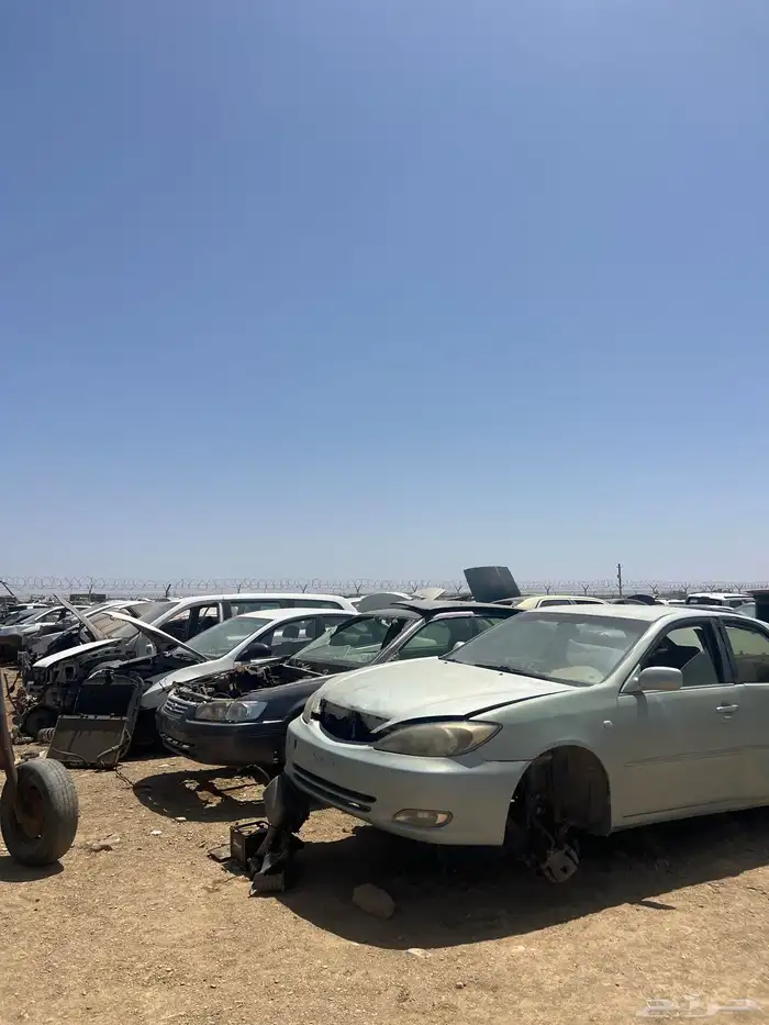 تشليح البحيصي 10