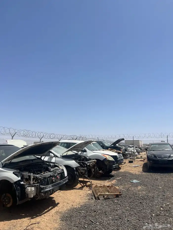 تشليح البحيصي 2