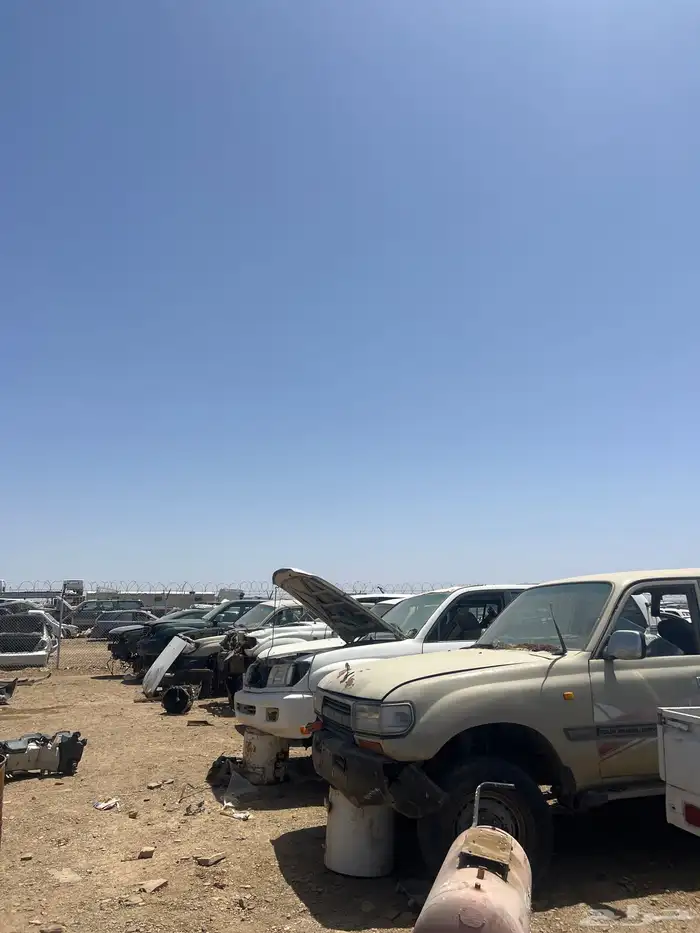 تشليح البحيصي 7