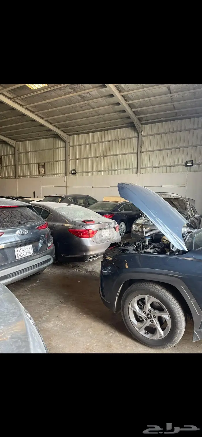 مكينة سيرنتو كرنفال اوبتيما سيراتو 14 15 16 17 لحق 7