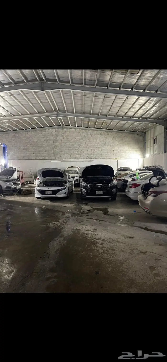 مكينة سيرنتو كرنفال اوبتيما سيراتو 14 15 16 17 لحق 1
