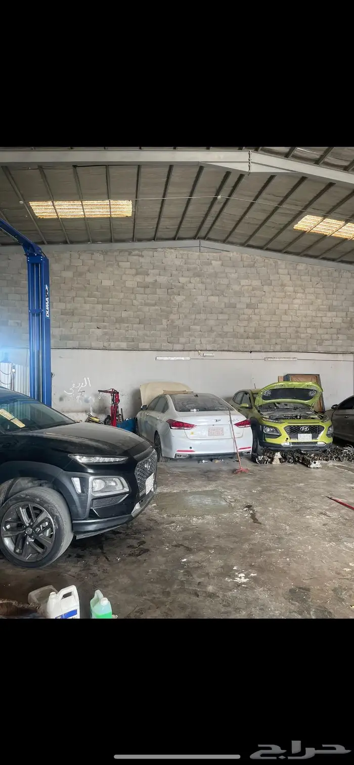 مكينة سيرنتو كرنفال اوبتيما سيراتو 14 15 16 17 لحق 2