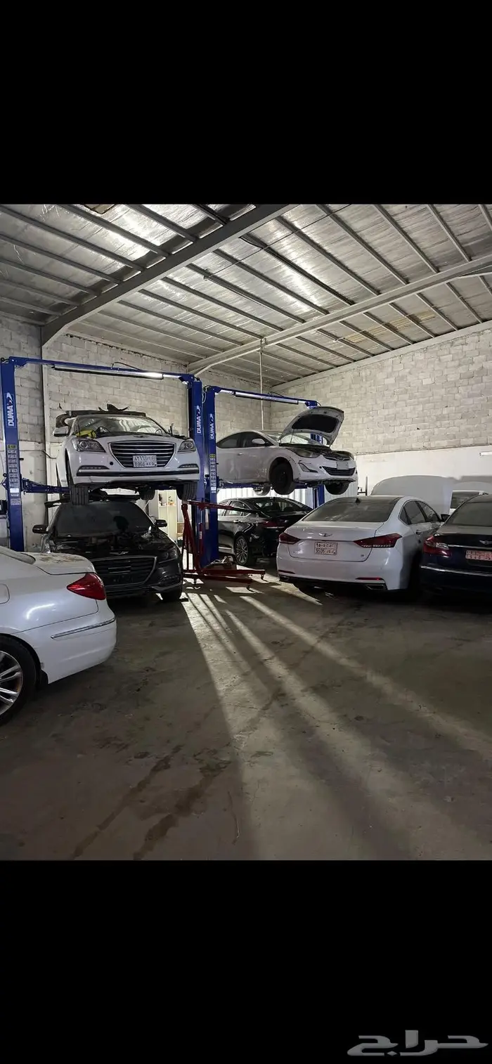 مكينة سيرنتو كرنفال اوبتيما سيراتو 14 15 16 17 لحق 5