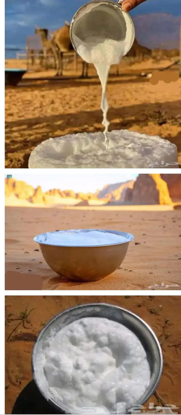 حليب ابل خلفات طازج بجدة حلب يومي .. وتوصيل داخل جدة للبيت 5