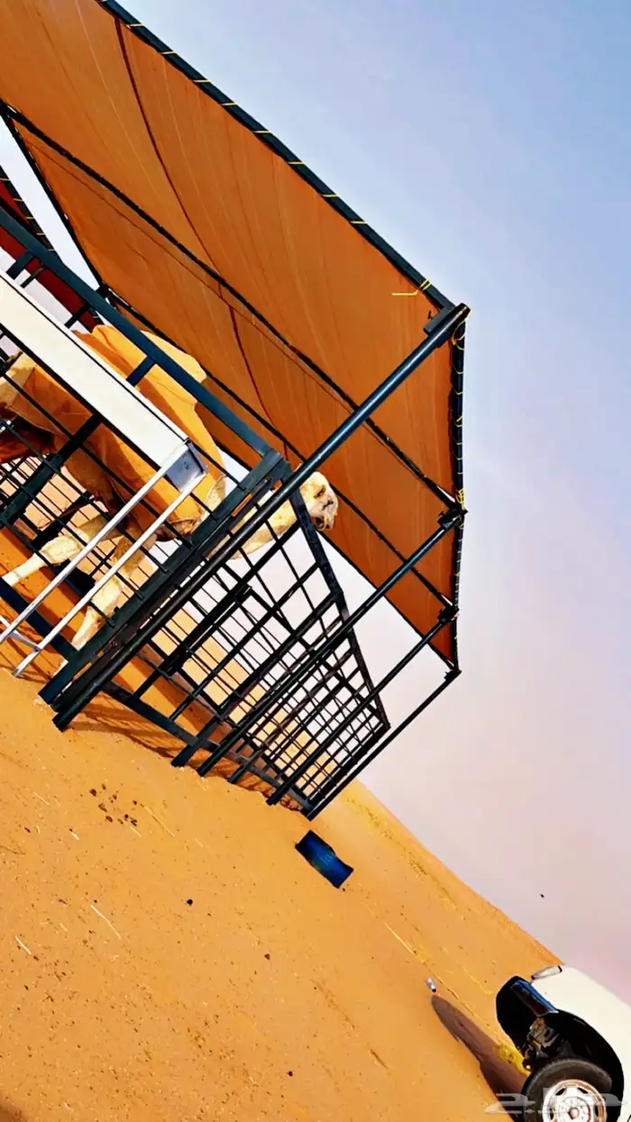 درف آبل مضلات. ابل 1