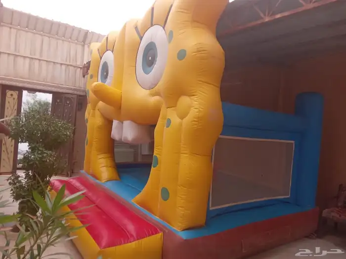 أجار نطيطات وزحاليق 3