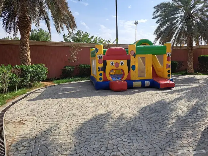 أجار نطيطات وزحاليق 0