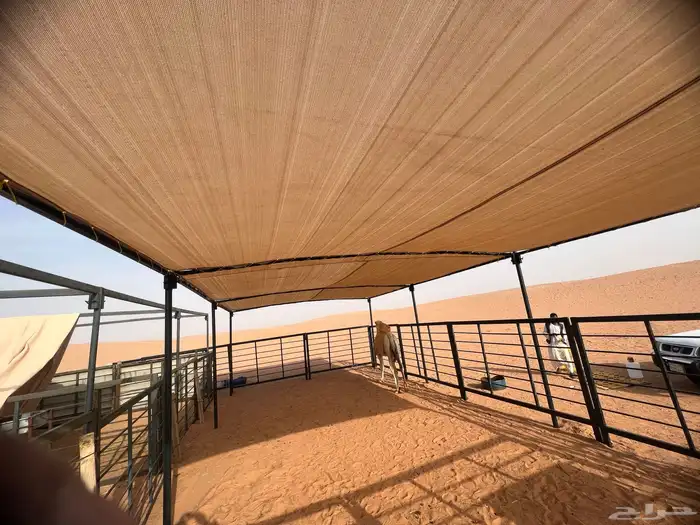 درف آبل مضلات. ابل 4