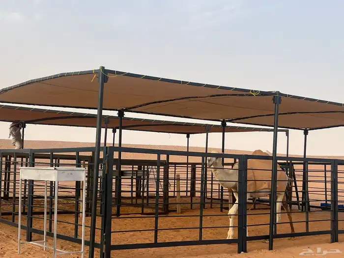 درف آبل مضلات. ابل 2