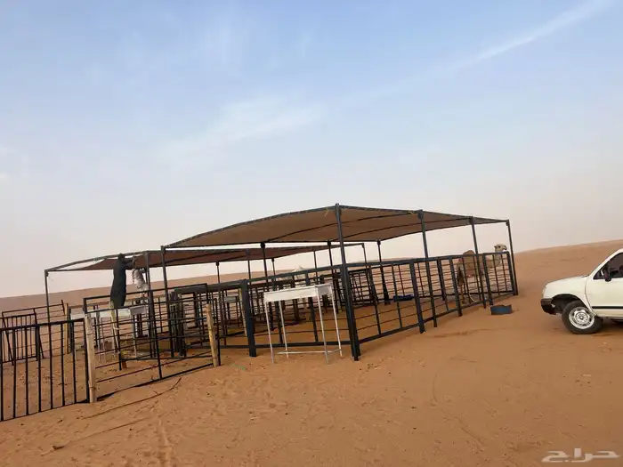 درف آبل مضلات. ابل 3